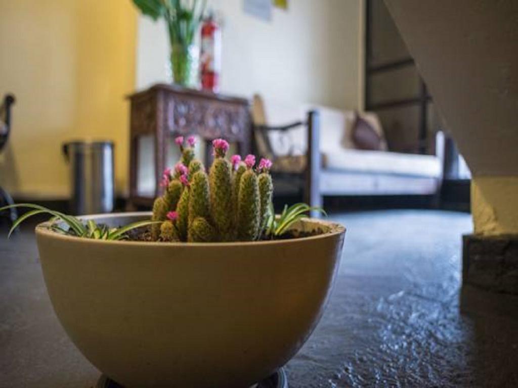 Tecte Guest House Cuzco Zewnętrze zdjęcie